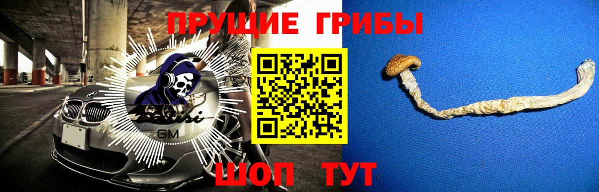 Псилоцибиновые грибы прущие грибы  Вход с VPN  Химки 
