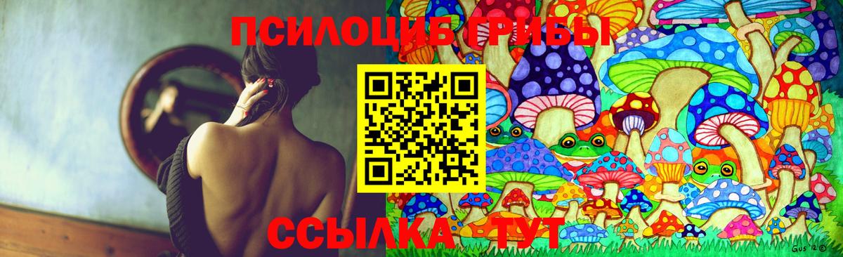 Псилоцибиновые грибы Magic Shrooms Химки